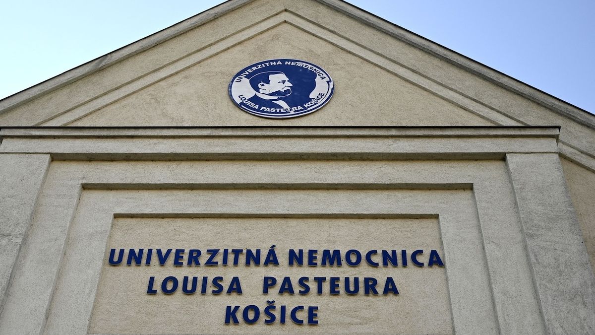 Slovenská lékařka obvinila nemocnici kvůli úmrtí otce, který popíral covid